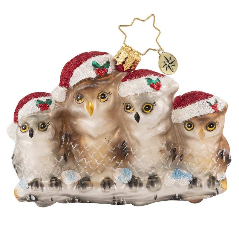 Christopher Radko HandCrafted European Glass Christmas Tree Ornament Decoration Its Owl in The Family Gem