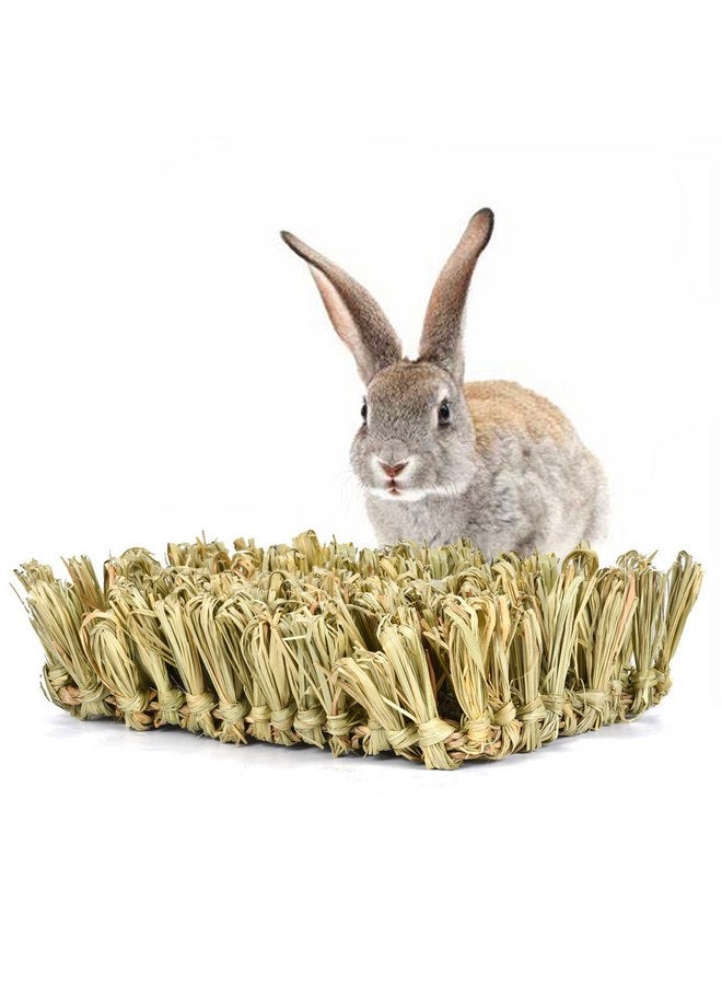Hamiledyi Rabbit Grass Bed,Bunny Natural Straw Woven Mat,Guinea Pig Hay Mat Chew Mat for Rabbit Guinea Pig Chinchilla Squirrel Hedgehog(10.6x7.5x3.5inches) - Image 1