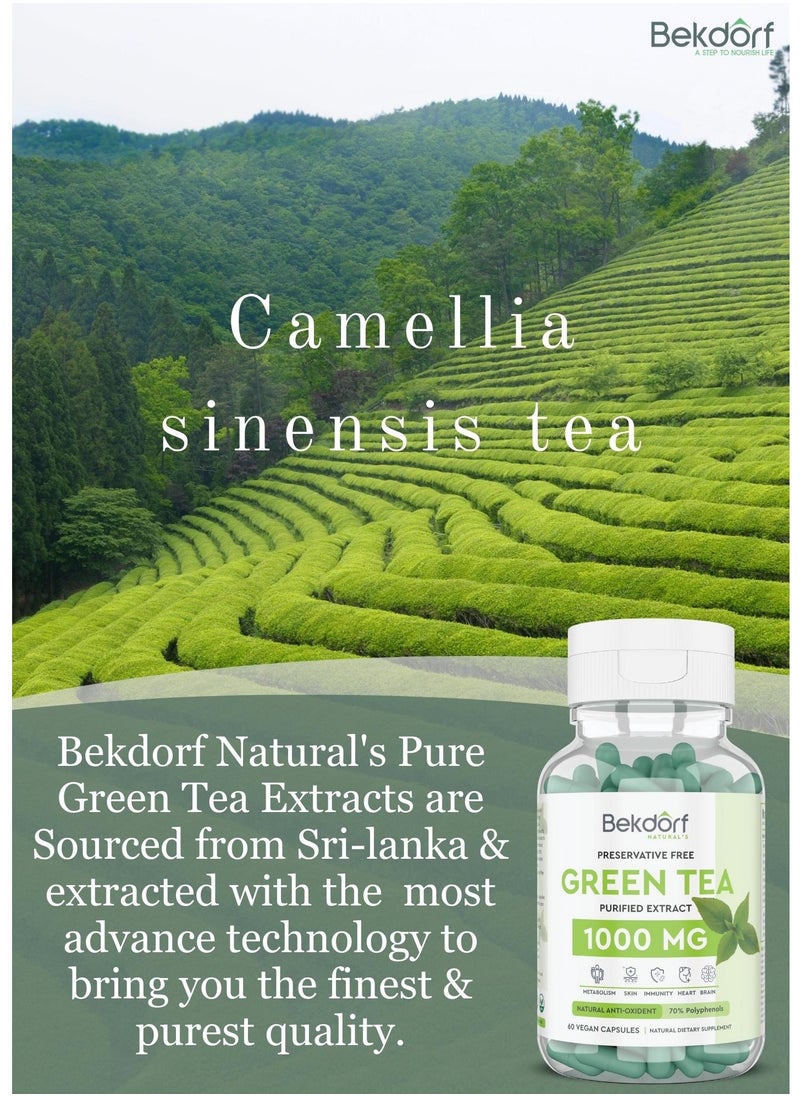 Green tea 1000 mg(Preservative Free)60 Capsules