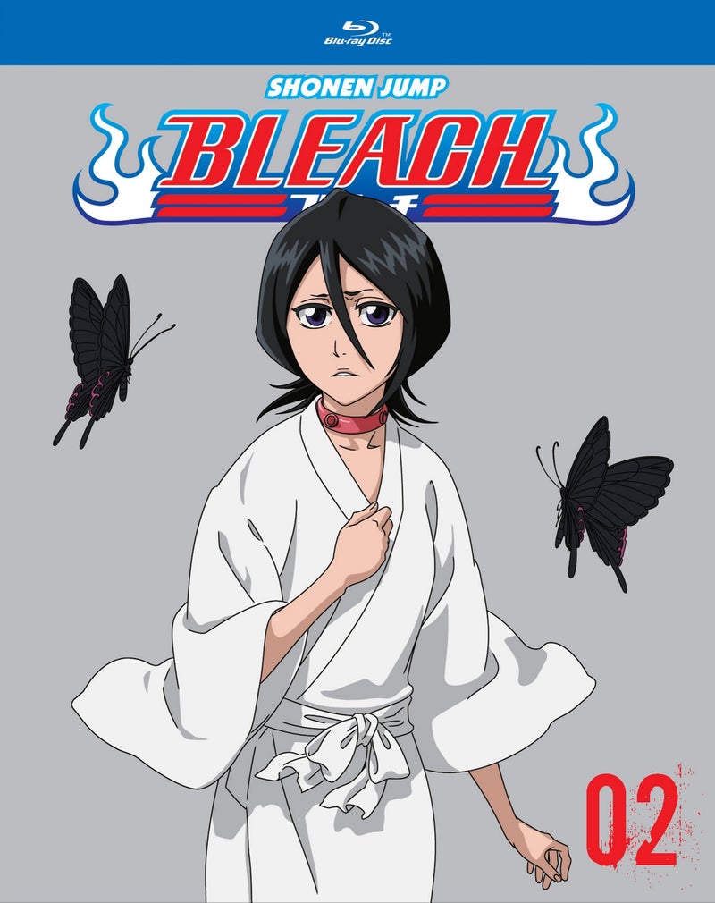 Bleach (TV) Set 2 (BD)