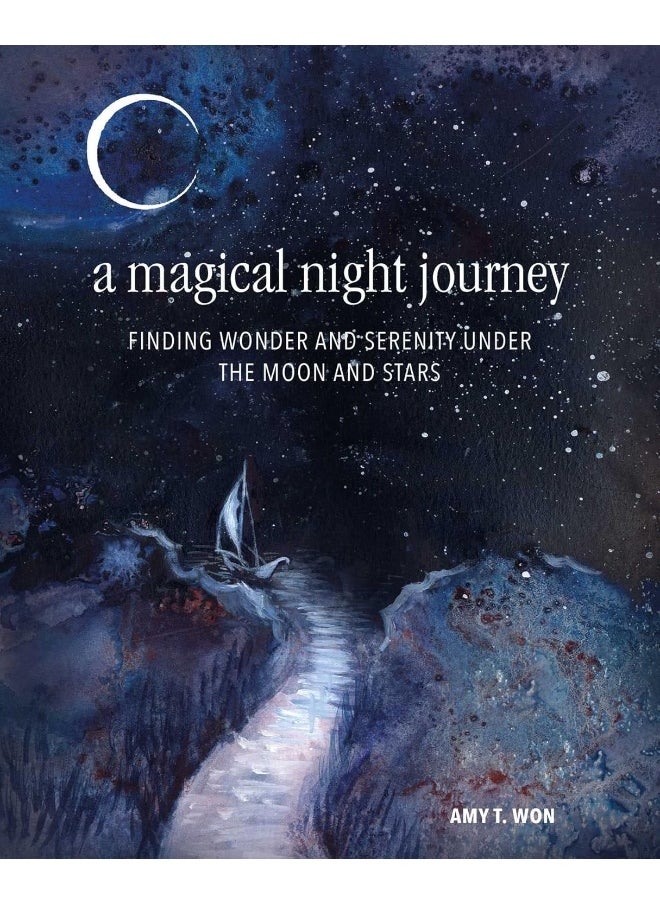 A Magical Night Journey: Finding Wonder and Serenity Under the Moon and Stars  - Image 4