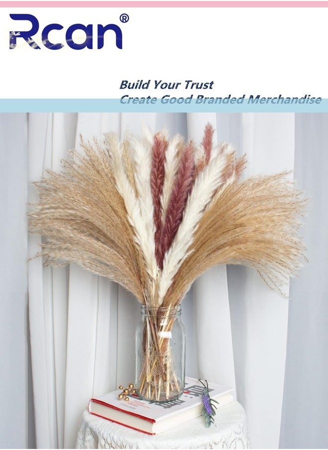 Generic Natural Dried Pampas Grass Bouquet 60 Pcs Dried Reed Flowers Boho Home Decor Fluffy Stem Bouquet for Home Table Decorations Wedding Floral Arrangements  - Image 1