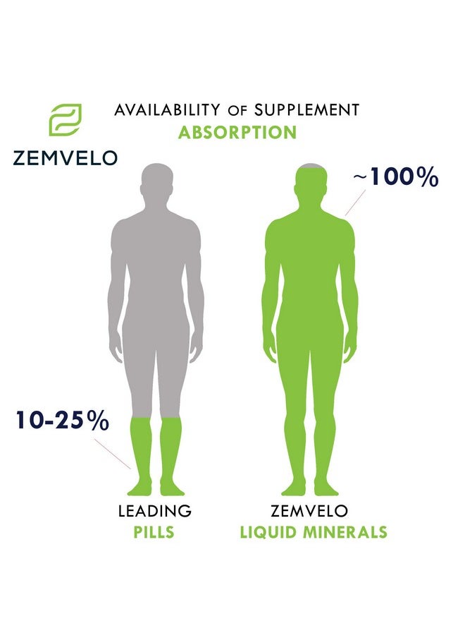 Zemvelo Liquid Ionic Zinc ; 96 Day Supply ; Encourage Clear Skin ; Sustained Energy ; Natural Inflammatory Support  - Image 5