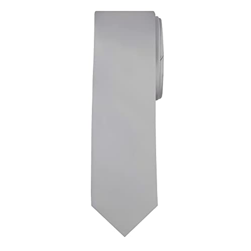 Jacob Alexander Solid Color Men's Regular Tie - Platinum Silver - Image 1
