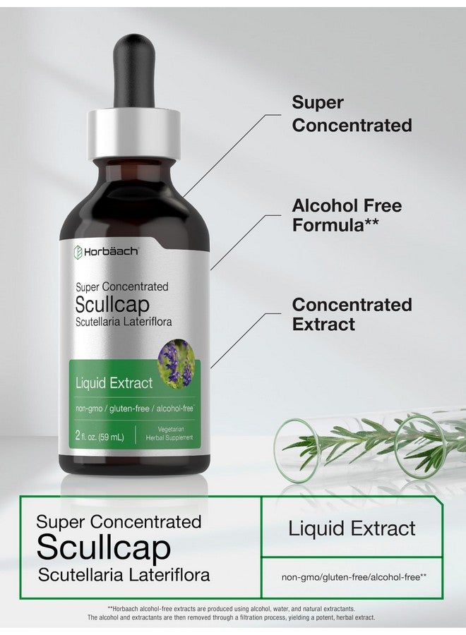 Horbäach Scullcap Herb Liquid Extract | 2 fl oz Tincture | Super Concentrated | Alcohol Free, Vegetarian, Non-GMO, Gluten Free Skullcap Supplement - Image 4