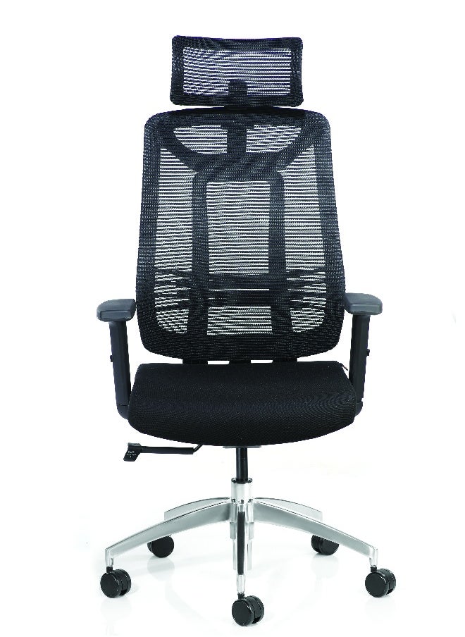 BOSQ Ergonomic Living Demos High Back Ergonomic Office Chair  - Image 1