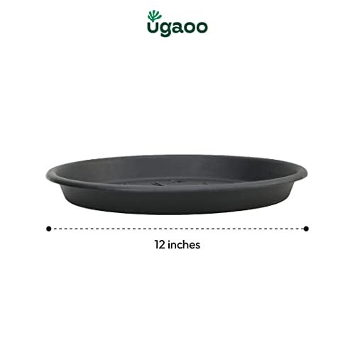 Ugaoo UV Treated Gardening Plastic Tray (Plate/Saucer) for Pots - 12 inch, Black Color, Set of 3 | Tray for Plants Pot for Indoor Home Decor & Outdoor Garden & Balcony - Image 5