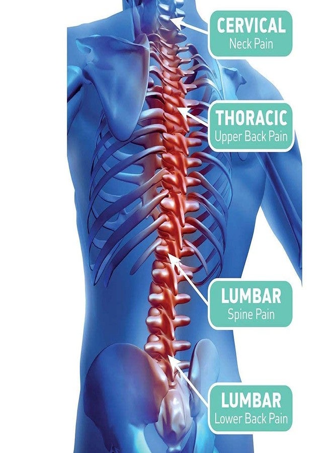 PRISO Adjustable & Best Material Elastic Infrared Magnetic Therapy for Lower Back Pain Relieve and Injury Prevention Absorb Sweat Lumbar Brace Waist Support Breathable Belt for Man And Woman. - Image 4