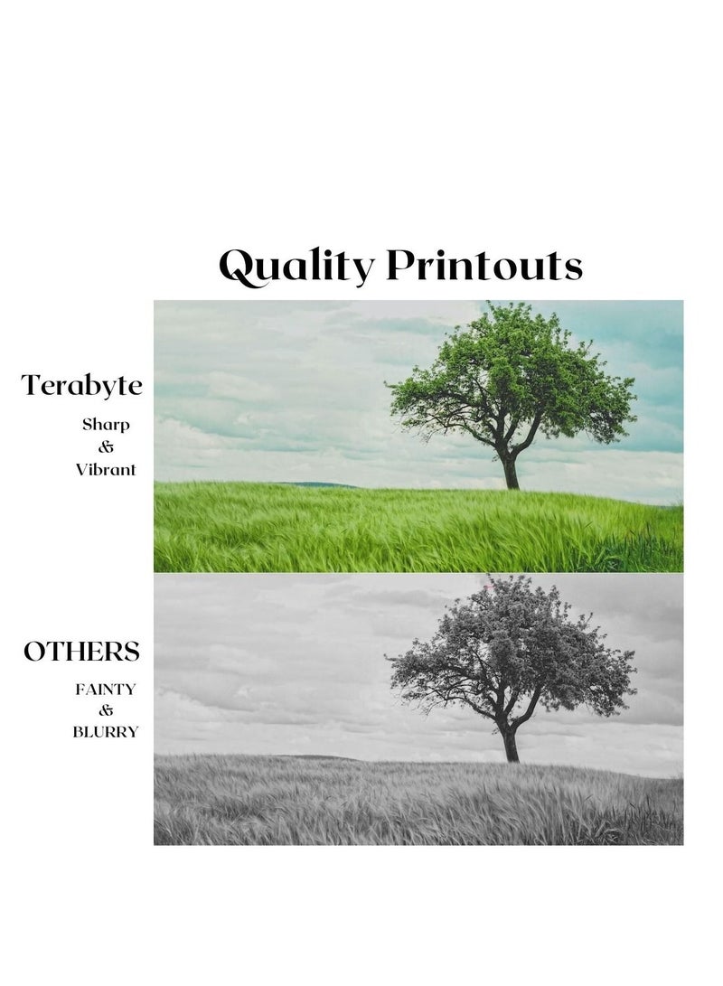 Terabyte GPR38/NPG54/CEXV15 COMPATIBLE TONER TERABYTE - Image 2