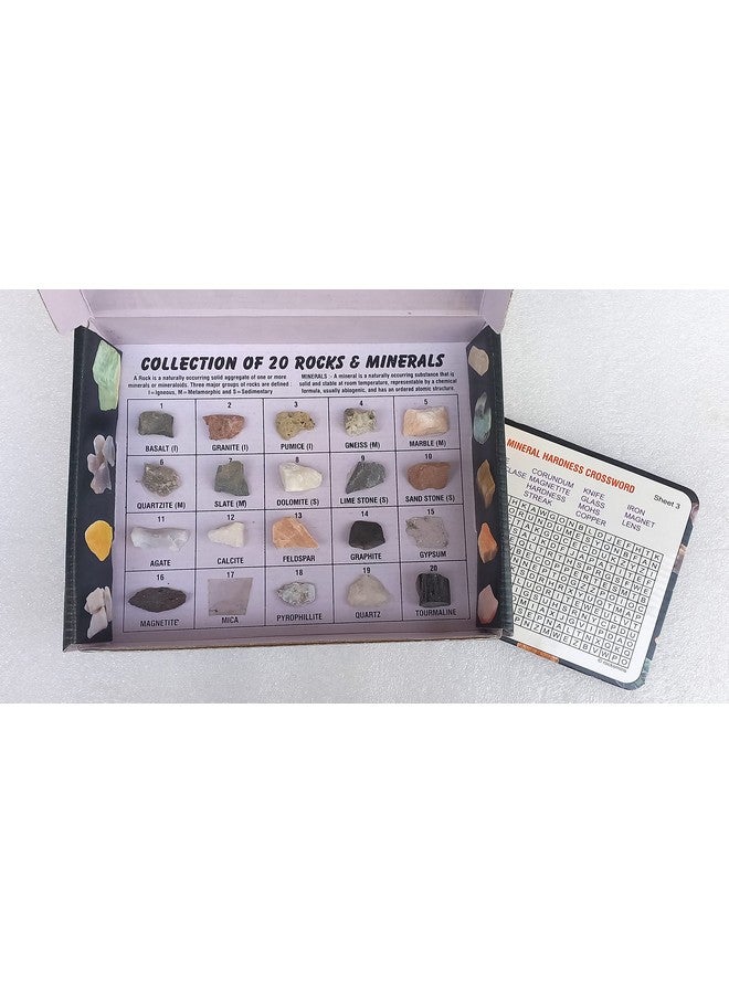 Rocksmins RM20PT Rocks & Minerals Collection Set of 20 Specimen (10 Rocks + 10 Minerals) Rock and Mineral - Image 5