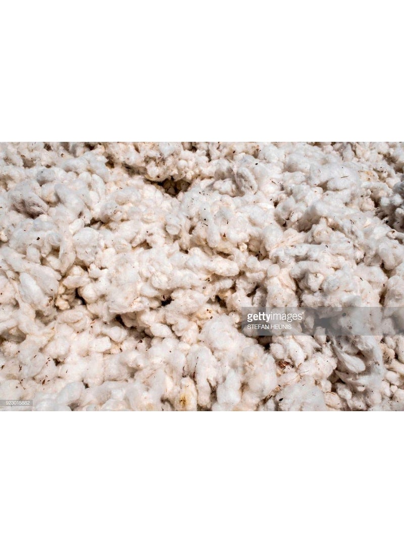 PMW Pmw Unprocessed Cotton with Seeds for Making Wicks 500 Grams 