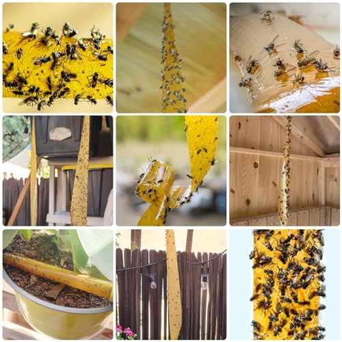 Glovv Fly Strips Trap Indoor Sticky Hanging, 40 Pack Fly Paper Traps Outdoor, Flies Tape Paper Ribbon Rolls for Home Kitchen, Fruit & Bug Gnat Catchers for Inside, Killer for Winged Insect - Image 3