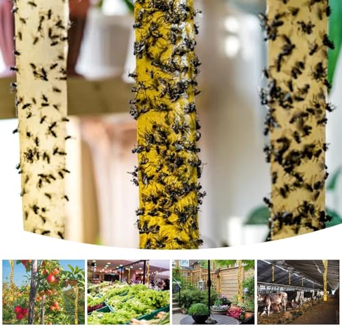 Glovv Fly Strips Trap Indoor Sticky Hanging, 40 Pack Fly Paper Traps Outdoor, Flies Tape Paper Ribbon Rolls for Home Kitchen, Fruit & Bug Gnat Catchers for Inside, Killer for Winged Insect - Image 2