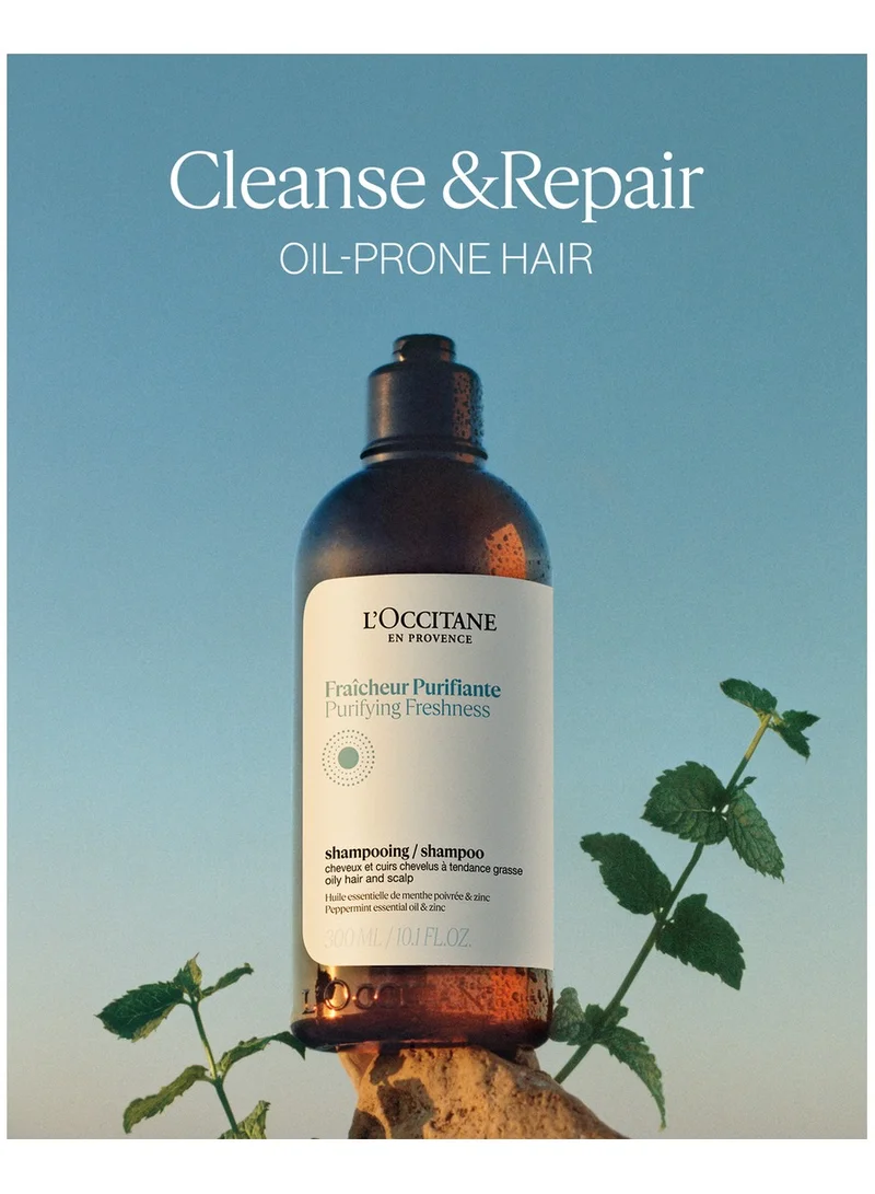 L'occitane Purifying Freshness Shampoo