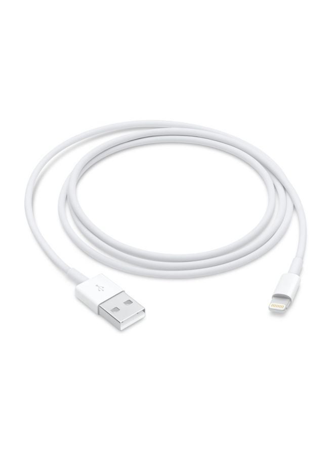 Apple Lightning To USB Cable - 1 Meter White - Image 4