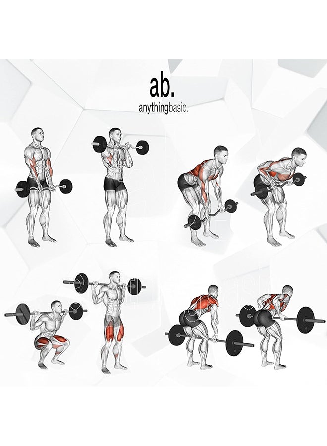 anythingbasic. Adjustable PVC Dumbbell Set of 12Kg |Material : Plastic, Sand and Cement | Fitness Kit for Men and Women  - Image 5