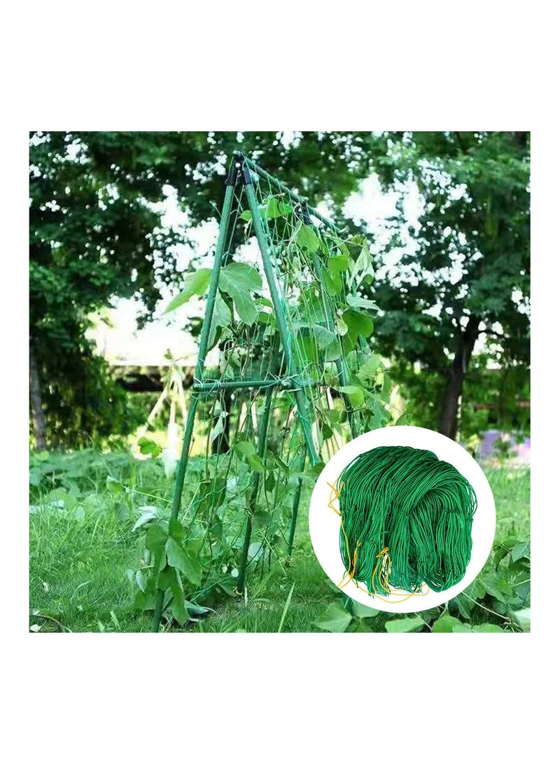 Trellis Netting for Climbing Plants1.8MX1.8M - Heavy Duty Garden Trellis Netting for Cucumber, Vine, Fruits & Vegetables Tomato Plants Trellis Net - Image 3