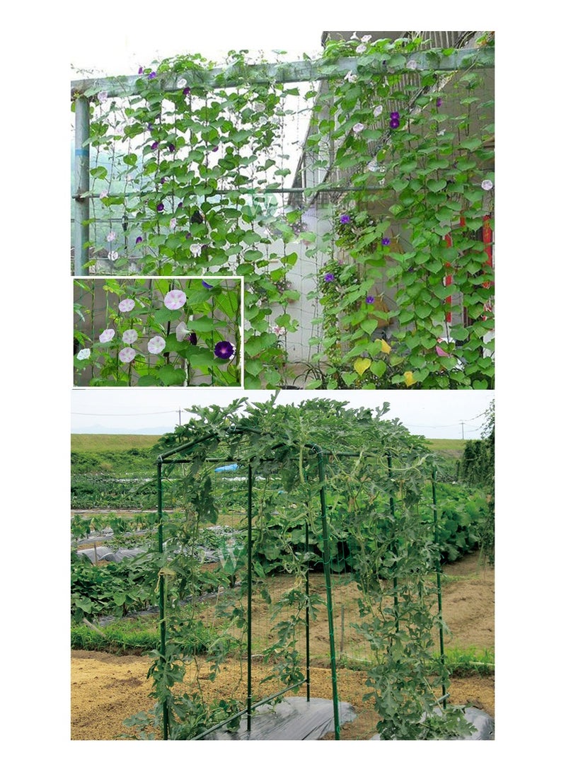 Trellis Netting for Climbing Plants1.8MX1.8M - Heavy Duty Garden Trellis Netting for Cucumber, Vine, Fruits & Vegetables Tomato Plants Trellis Net - Image 2