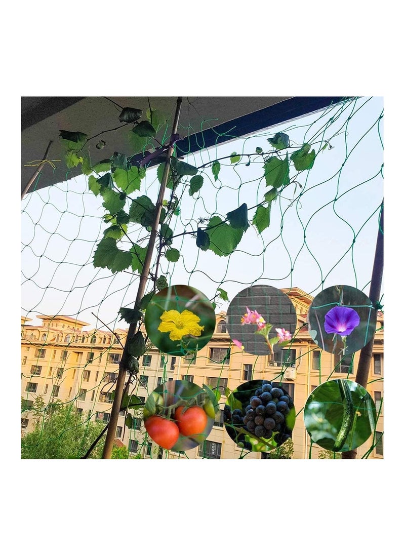 Climbing Plants Heavy Duty Garden Trellis Netting for Cucumber, Vine, Fruits and Vegetables Tomato 1.8 x 1.8m