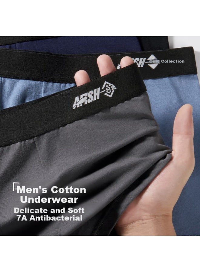 A FISH Yizhiyu [10a Grade Antibacterial Crotch] Men's Underwear, Cotton Breathable Boxer Briefs, Large Size, 9 Pieces - Image 5