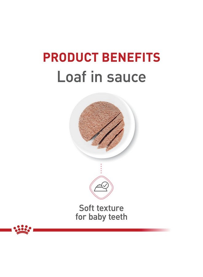 Royal Canin Feline Health Nutrition Kitten Loaf in Sauce Canned Cat Food, 3 oz can (Pack of 24) - Image 3