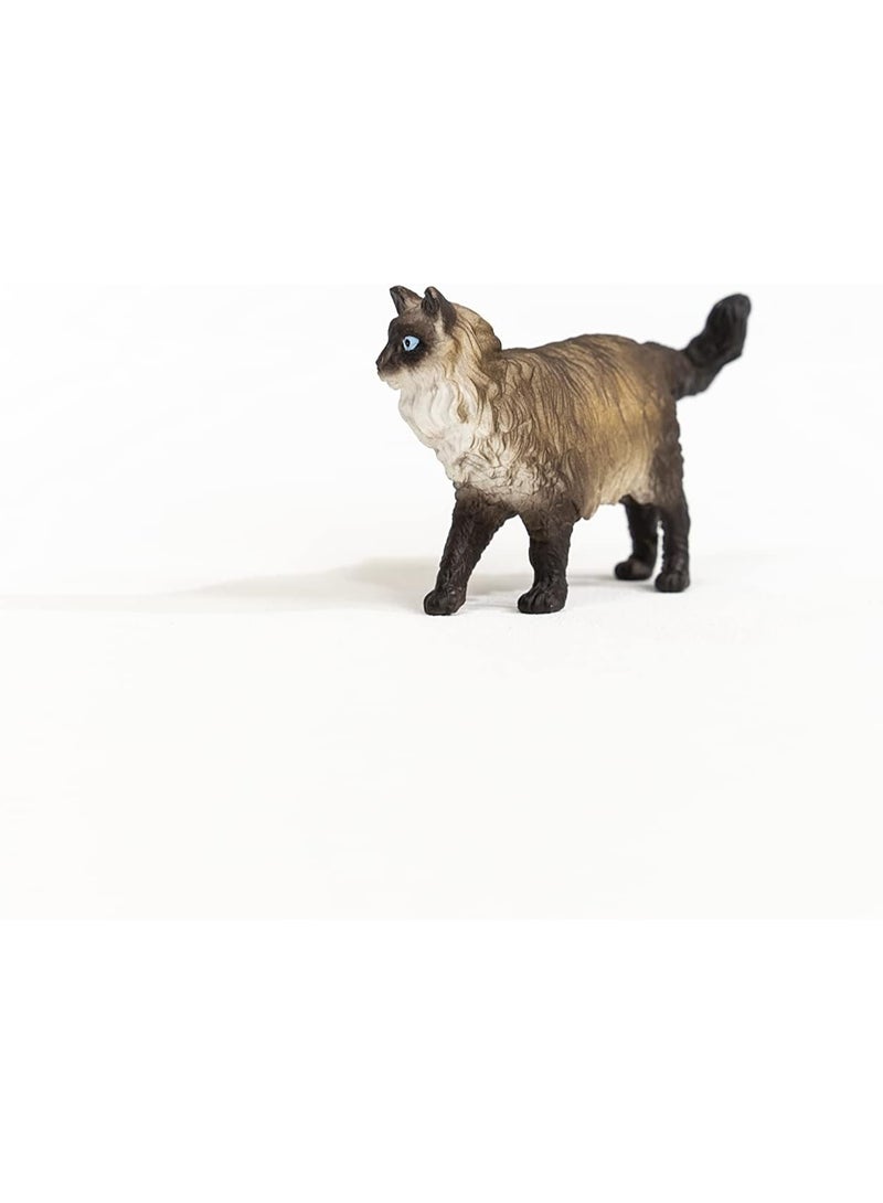 Schleich شلايش 13940 مزرعة عالم تمثال قطة رagdoll - Image 5