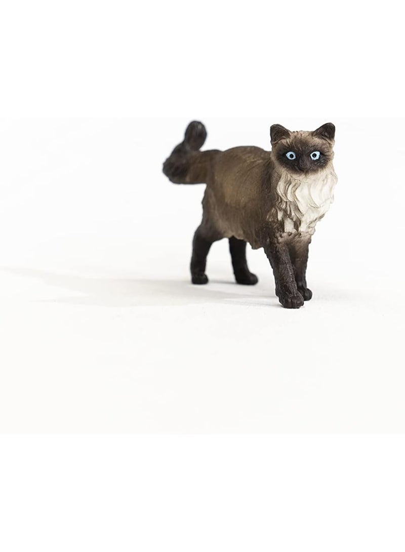 Schleich شلايش 13940 مزرعة عالم تمثال قطة رagdoll - Image 3