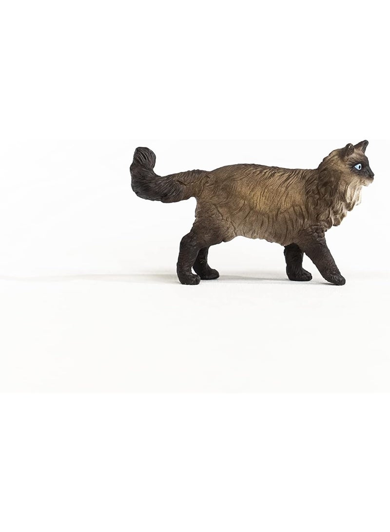Schleich شلايش 13940 مزرعة عالم تمثال قطة رagdoll - Image 2