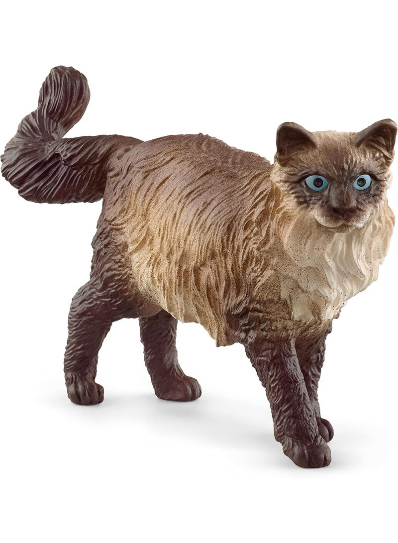 Schleich شلايش 13940 مزرعة عالم تمثال قطة رagdoll - Image 1