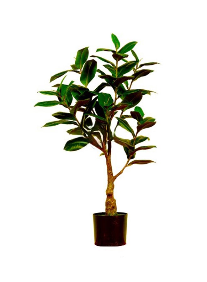 HRT WALL Ficus Elastica Melanie 75cm - green 