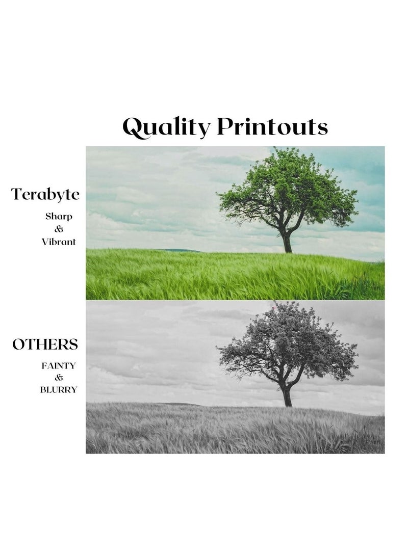 Terabyte GPR23/NPG35/EXV21  COMPATIBLE TONER TERABYTE - Image 2