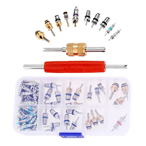 Mtsooning 102PCS Air Conditioning Valve Core Accessories Kit AC R12 R134A Refrigeration Tire Valve Stem Cores Removal Installer Tool R134A Valve Kit for Car Air Contitionaing Repair