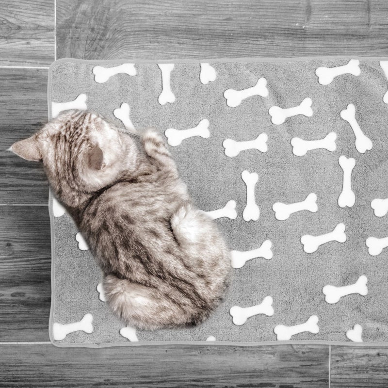 🐾 بطانيات دافئة ومريحة للحيوانات الأليفة مناسبة للأسرة والأرائك - Image 4