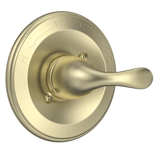 KANDENT Replacement for D Faucet 13 Series SingleFunction Shower Valve Trim Kit Shower Handle Champagne Bronze Shower Trim Kit T13020CZ Cartridge and Valve Not Included - Image 1