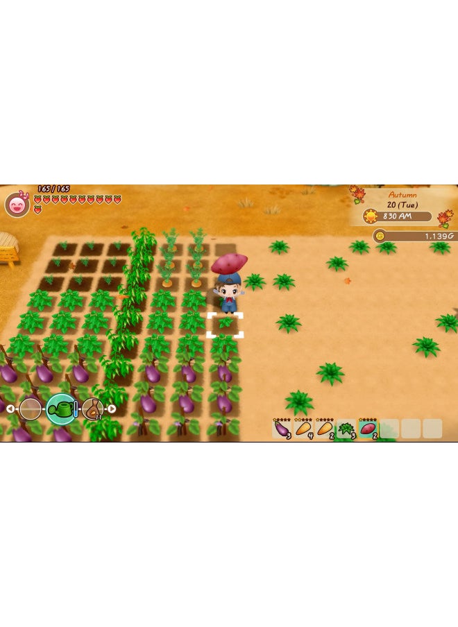 Xseed Games - Story of Seasons: Friends of Mineral Town - PlayStation 4 - Image 1