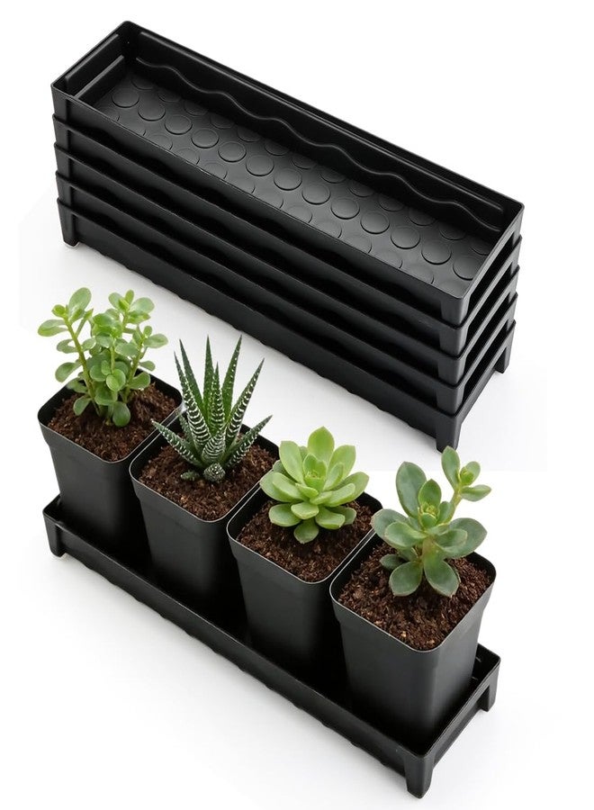 RooTrimmer 5 Pack Plastic Window Sill Saucer (16"x5.5"x1.5"), Rectangular Windowsill Plant Pot Trays with Removable Drainage Hole, Thick Plant Saucer Tray for 4 inch (10CM) Flower Seedling Pots (Black) - Image 1