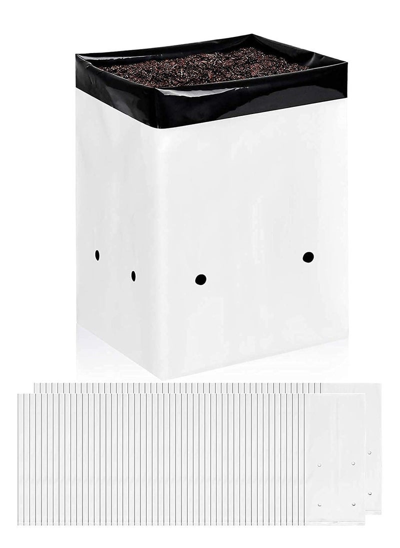 Generic Film Grow Bag, 1 Gallon Plastic Grow Bags, Black and White Plant Nursery Bags, Seeding Bags for Vegetable Flower Plant, Suitable for Potting Seedlings, and Rooting  - Image 1