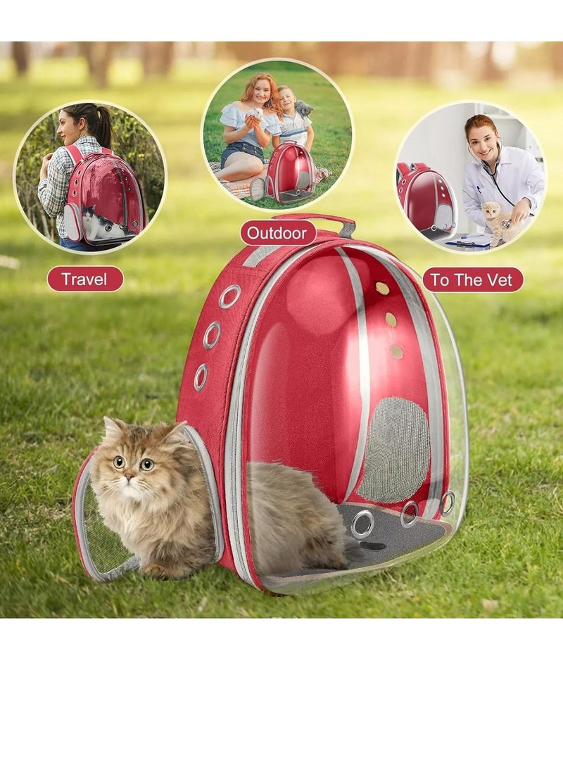 Transparent Portable Pet Backpack Travel Carrier, Convenient Travel for Small Dog and Cat - Image 5
