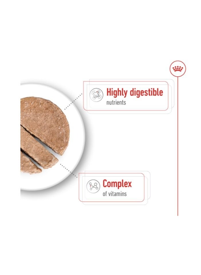 Royal Canin Size Health Nutrition Mini Adult Wet Dog Food 3 x 195g - Image 3