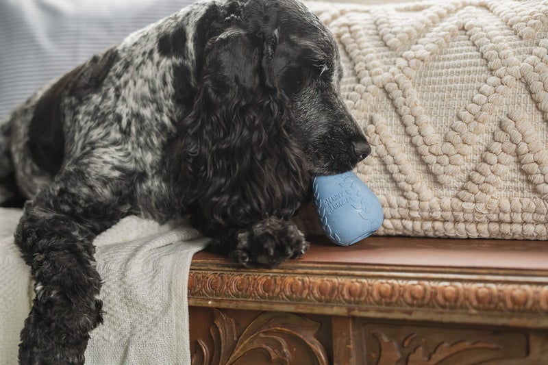 Harry Barker Durable Rubber Treater Toy - Medium - Image 3