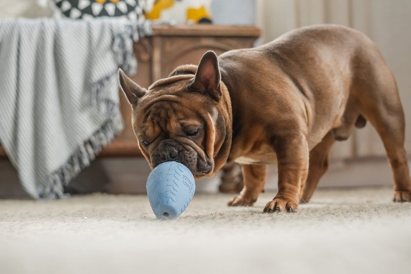 Harry Barker Durable Rubber Treater Toy - Medium - Image 5