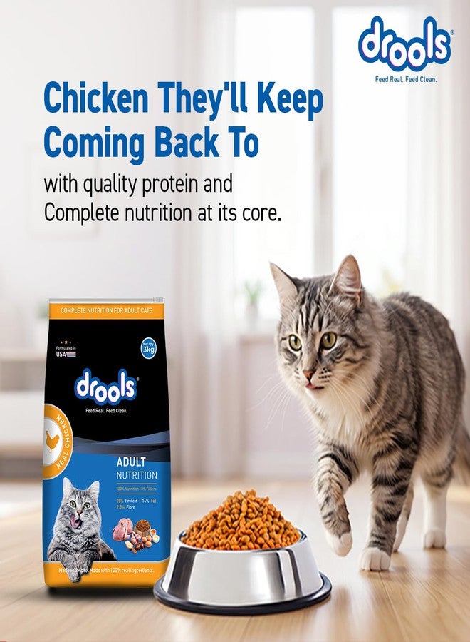 Drools Adult Dry Cat Food 1kg with Free Creamy Treat 75g | Real Chicken Flavour | Hairball Control | Taurine for Cardiac Support | Nourished Skin & Shiny Fur - Image 2