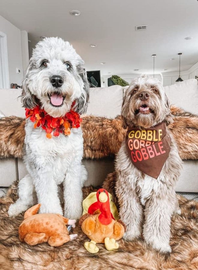 Midlee Thanksgiving Turkey Decorative Dog Collar (Large) - Image 5
