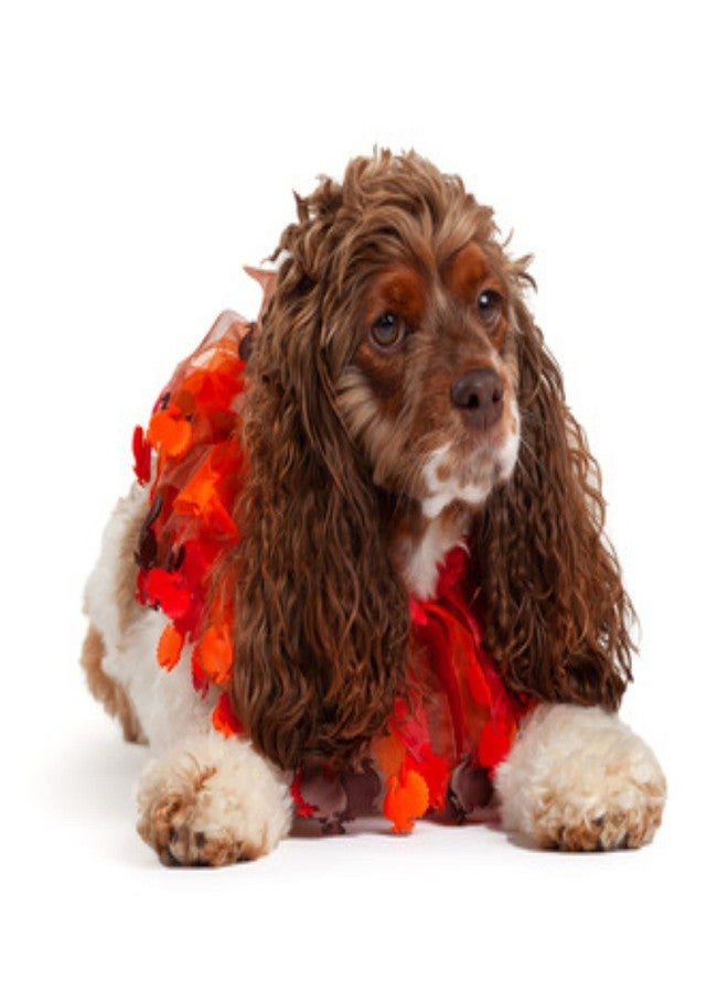 Midlee Thanksgiving Turkey Decorative Dog Collar (Large) - Image 3