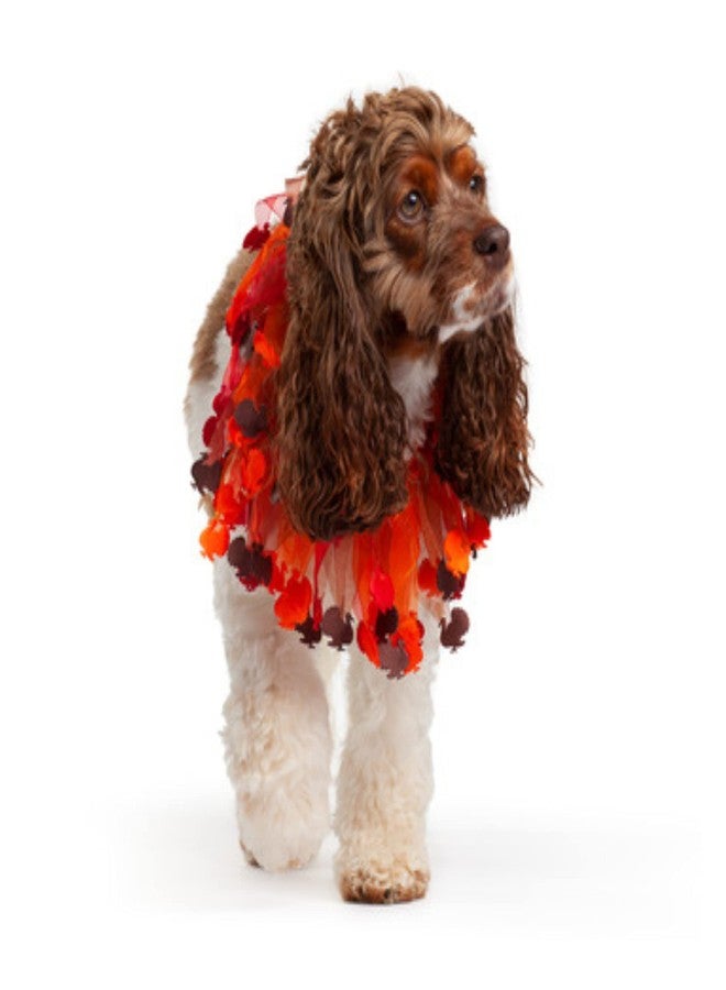 Midlee Thanksgiving Turkey Decorative Dog Collar (Large) - Image 2