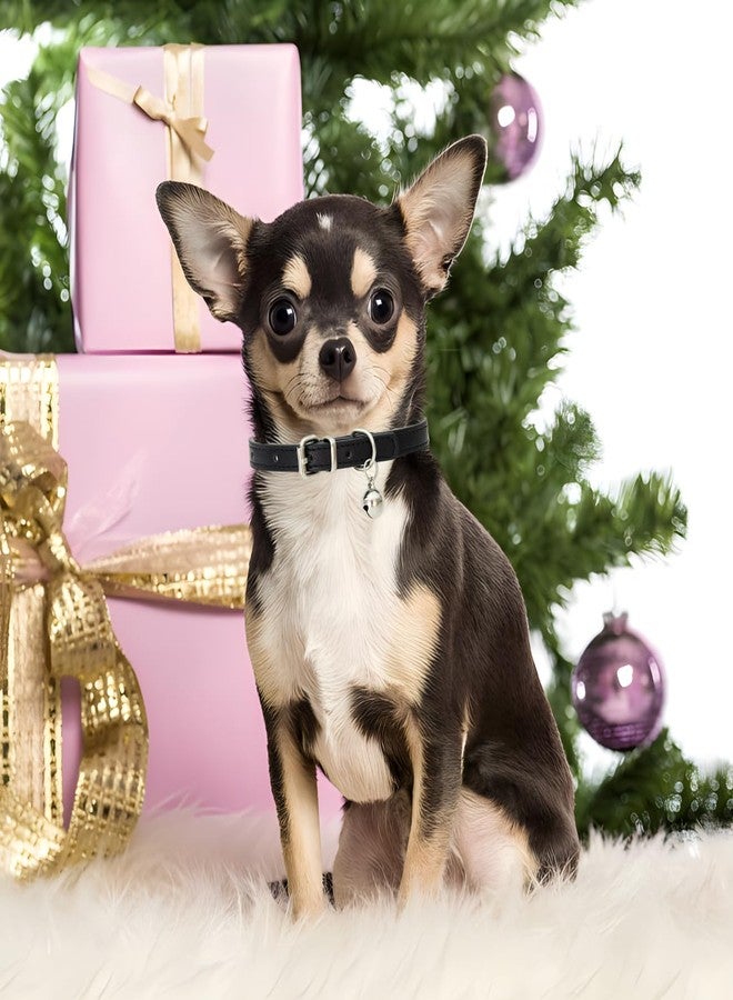 Weimostar Hot Pink Puppy Collar with Bell, Soft Pu Leather Cat Collars Adjustable Buckle for XXS XS Extra Small Medium Tiny Female Girls Pets Dogs Kitten Teacup Yorkie S - Image 3