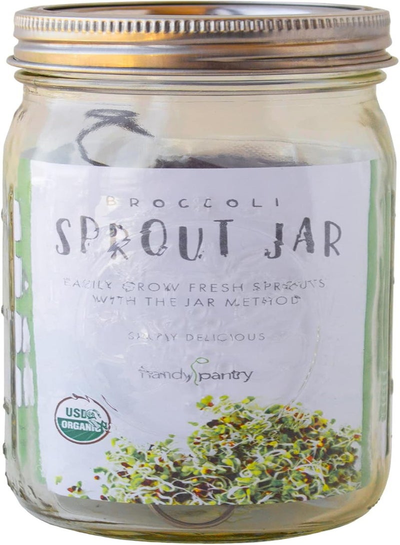 GGOOT Complete Organic Broccoli Sprout Growing Kit - Includes Quart Mason Jar, 316 Stainless Steel Sprouting Lid, Sprout Stand, and Organic Non-GMO Broccoli Sprouts Seeds - by  & Trellis - Image 1