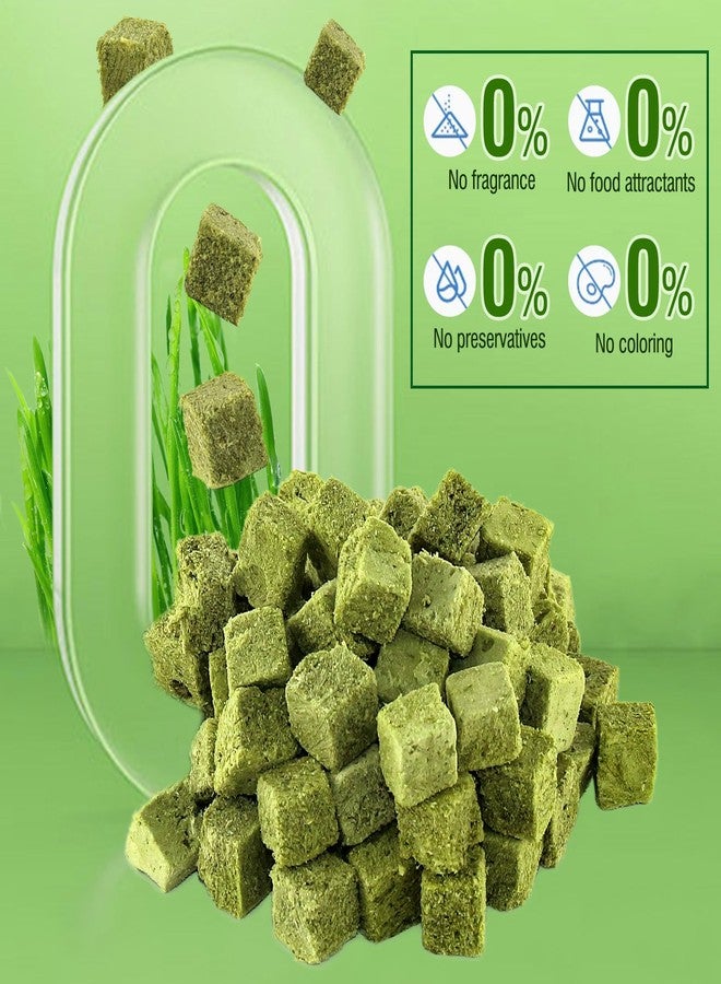 PawsGear 60g/2.13oz Cat Grass Teething Toy Hairballs,Chew Treats for Cats,Edible Cat Chew Toys,Natural for Cats,Teeth Cleaning and Hairball Removal (60g) - Image 4