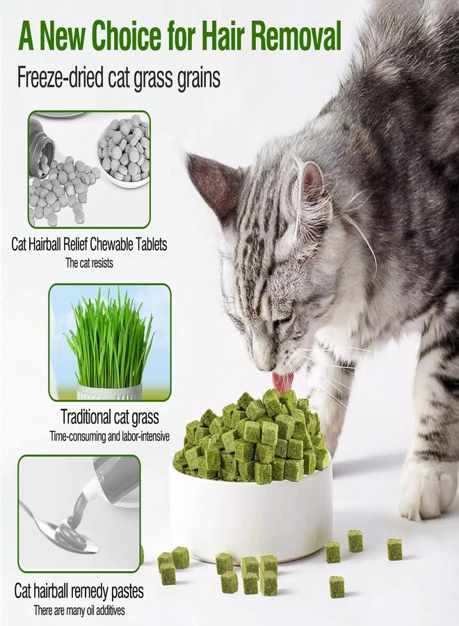 PawsGear 60g/2.13oz Cat Grass Teething Toy Hairballs,Chew Treats for Cats,Edible Cat Chew Toys,Natural for Cats,Teeth Cleaning and Hairball Removal (60g) - Image 5