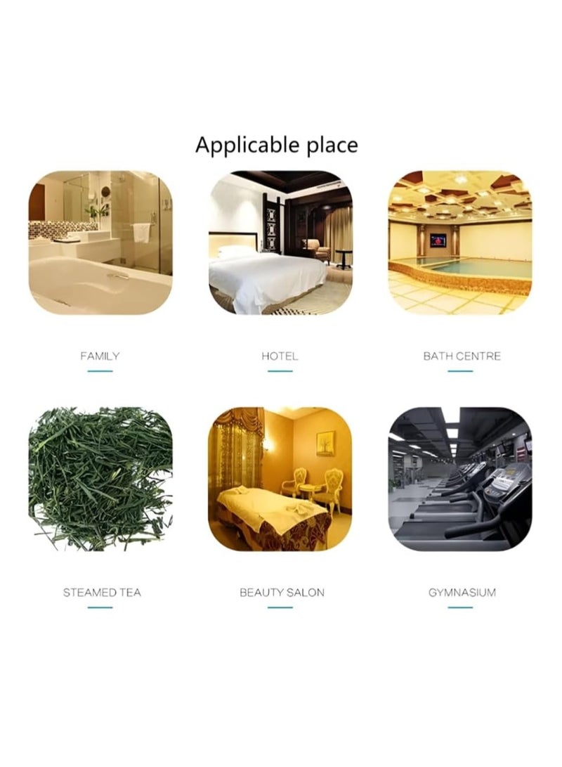 جلوبال ستار دليل مولد البخار من جلوبال ستار - دليل شامل للتشغيل والصيانة الفعالة | تحسين تجربة غرفة البخار الخاصة بك - Image 4